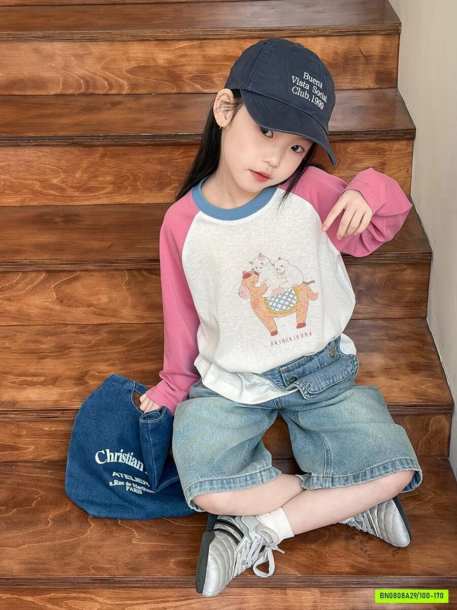 ÁO THUN PHỐI MÀU TAY 26A030 AMBB