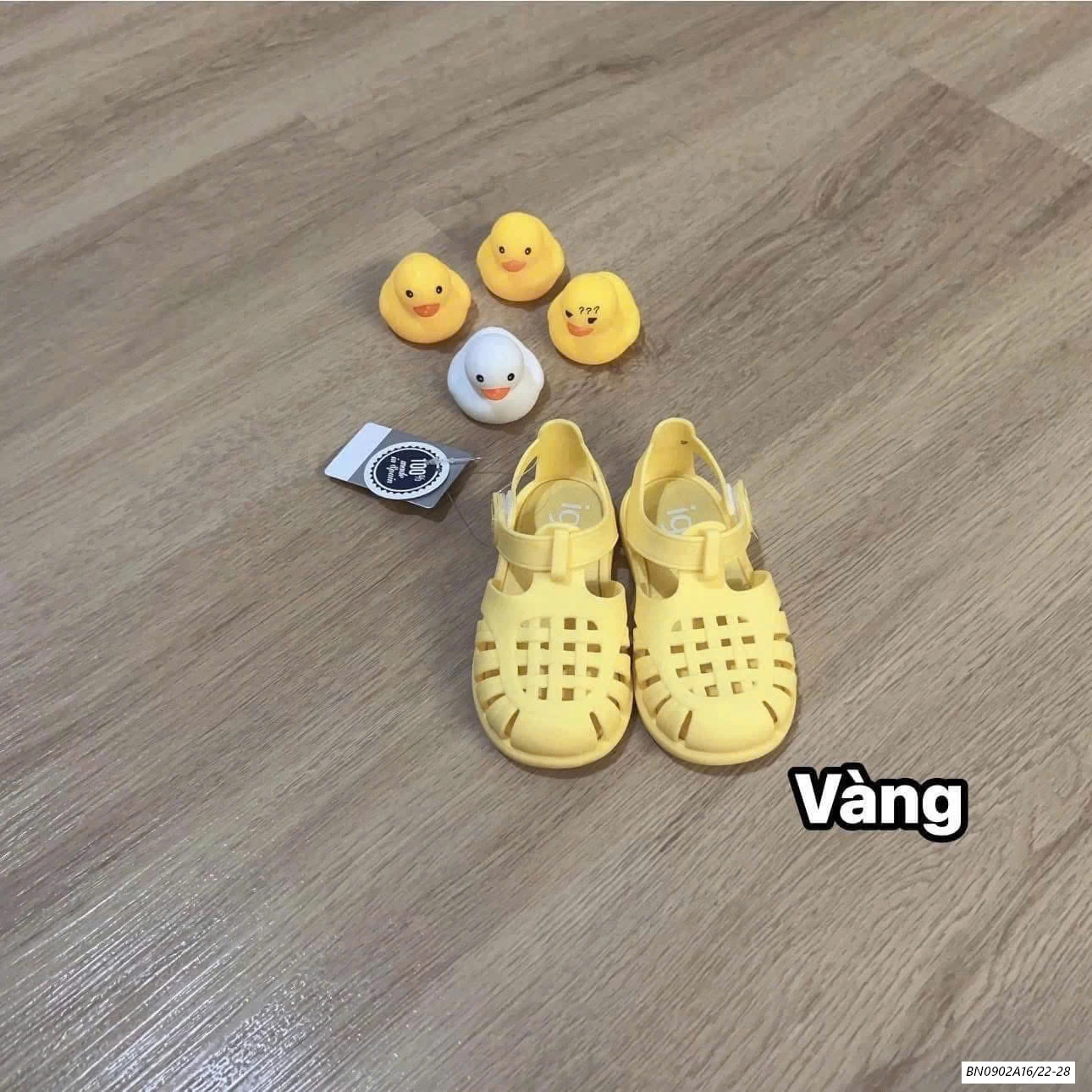 DÉP RỌ THƠM IGOR