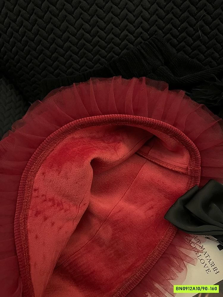 CV NHUNG PHỐI BÈO 24B008 AMBB