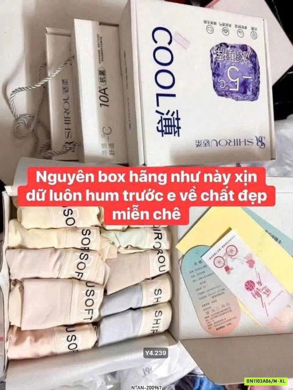 HỘP 10 QUẦN CHIP SHIROU