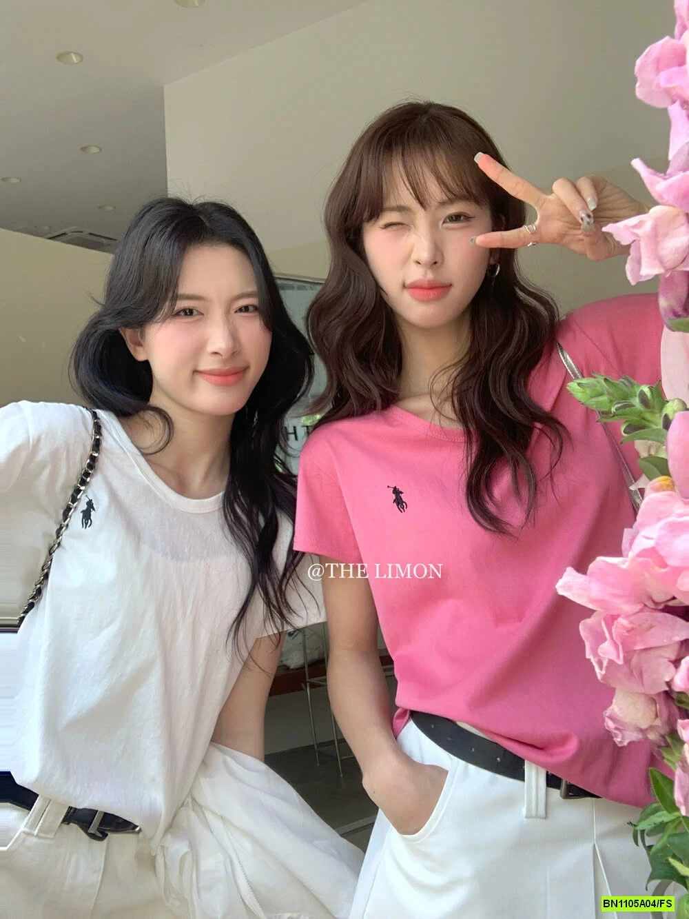 ÁO THUN XƯỚC LOGO NGỰA THELIMON