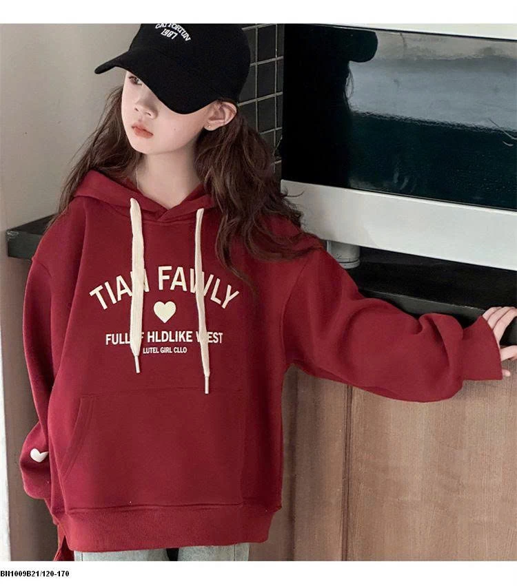 ÁO NỈ HOODIE FAMILY