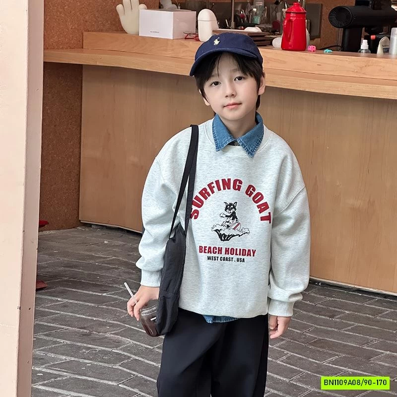 ÁO NỈ IN HÌNH CỔ TRÒN 25F113 AMBB