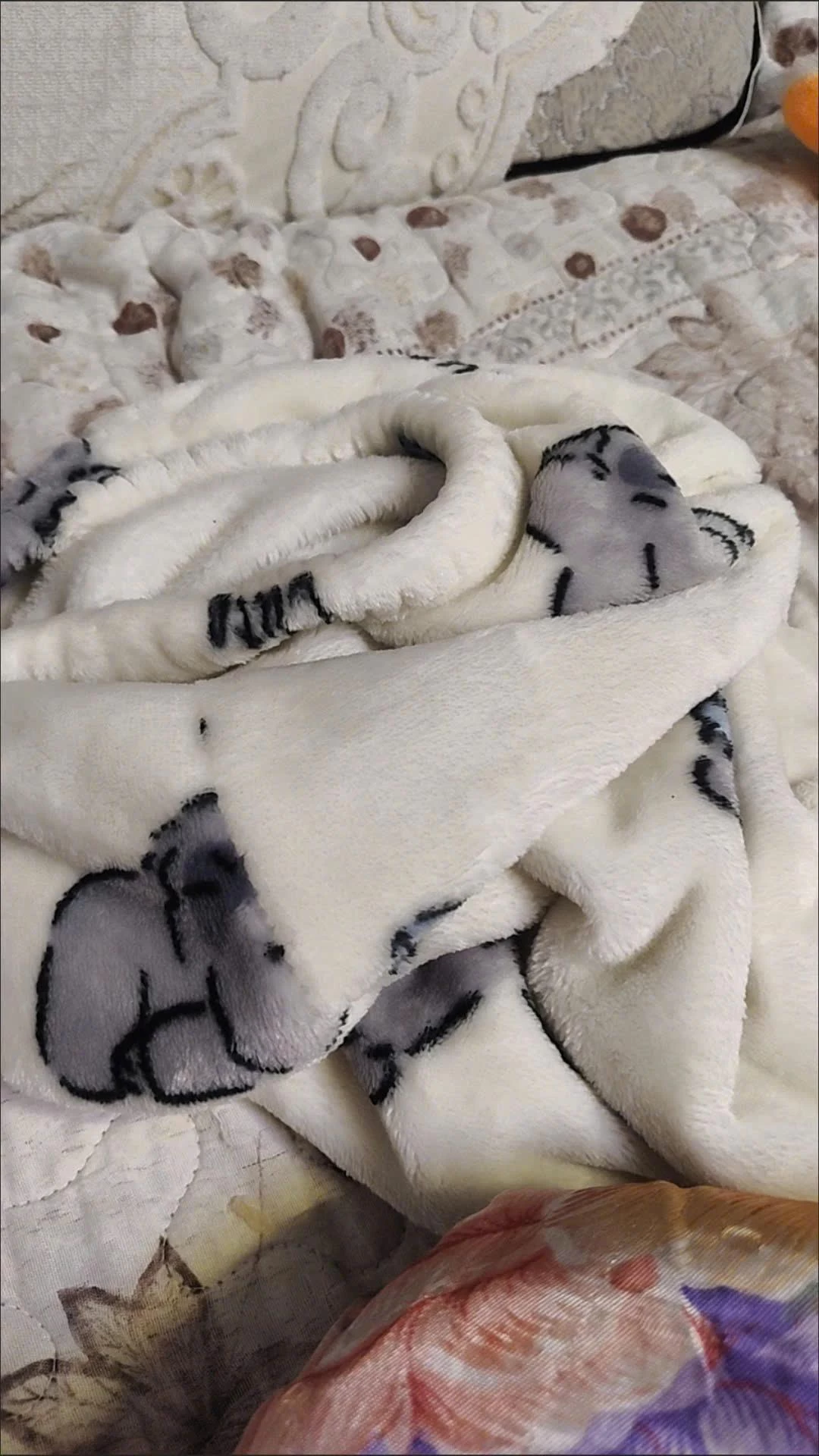 BỘ BĂNG LÔNG IN HÌNH CHO BÉ