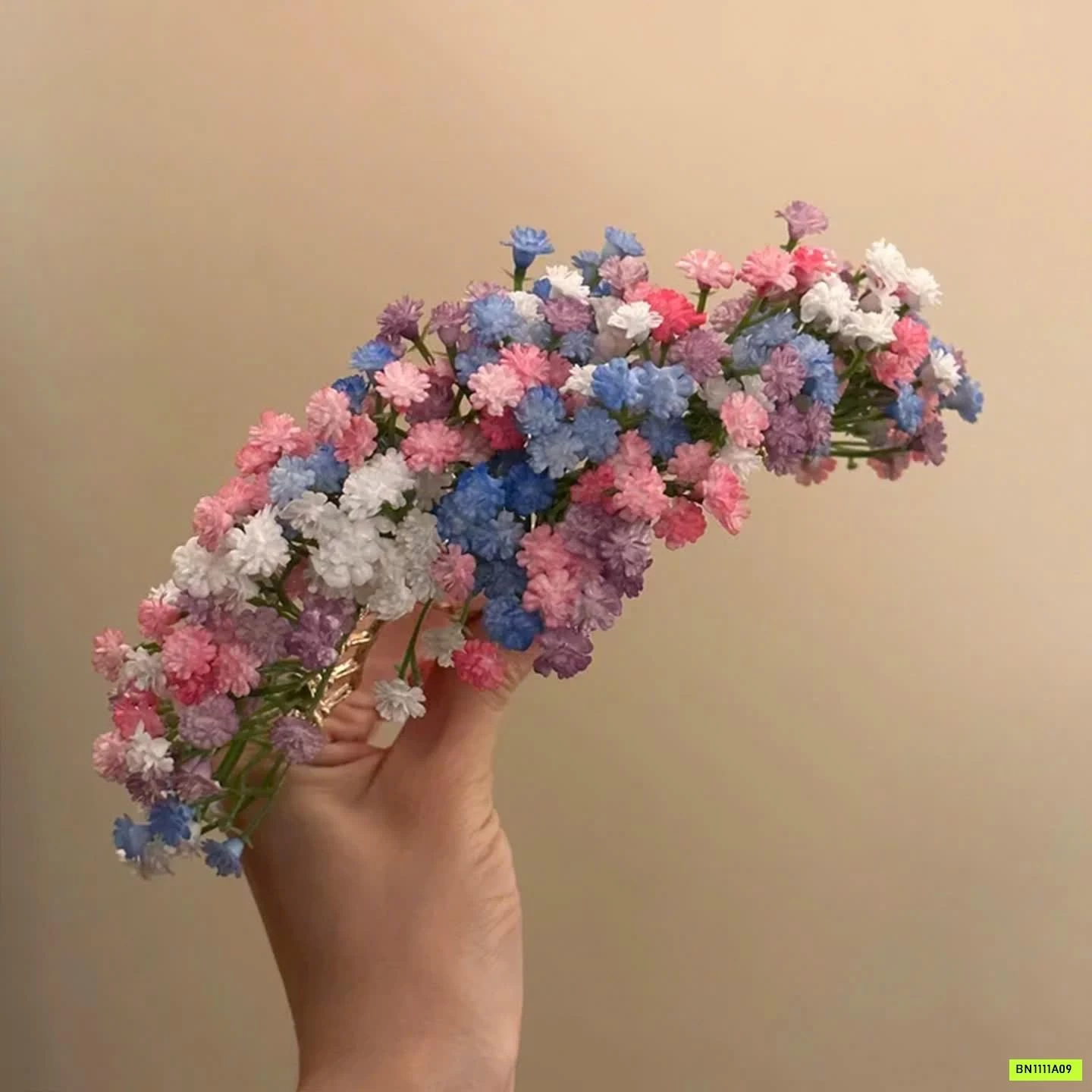 CÀI HOA LƯU DIỆC PHI