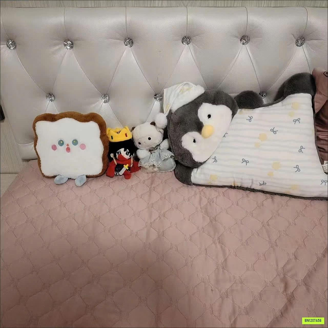 GẤU ÔM THÚ CƯNG