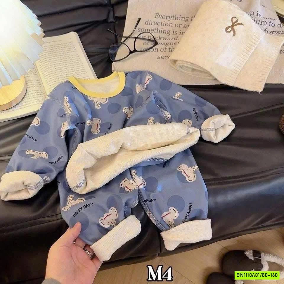 SÉT BỘ LÓT NỈ HỌA TIẾT