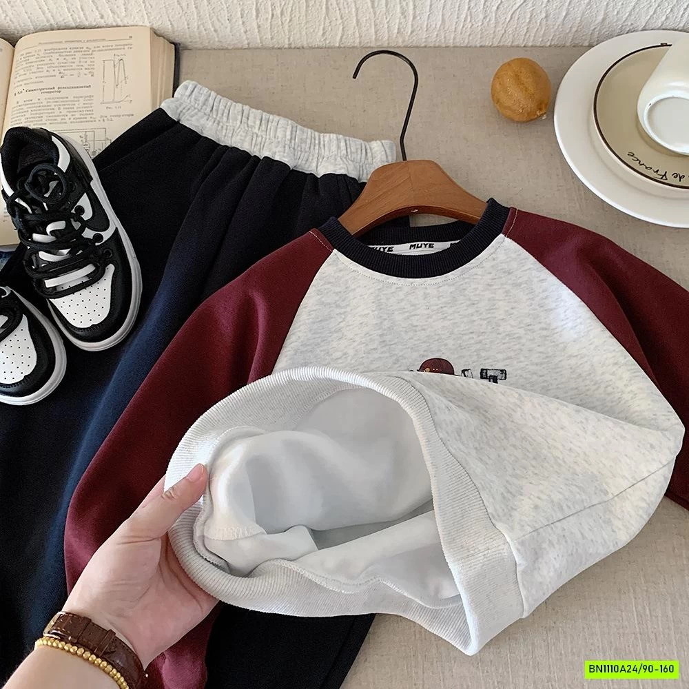 ÁO NỈ ÉP PHỐI MÀU TAY IN HÌNH LƯNG