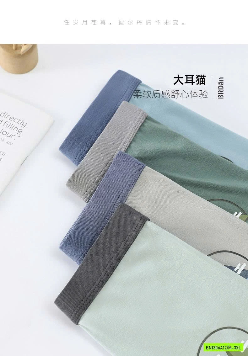 SÉT 4 CHIP ĐÙI BT SZ ĐẠI