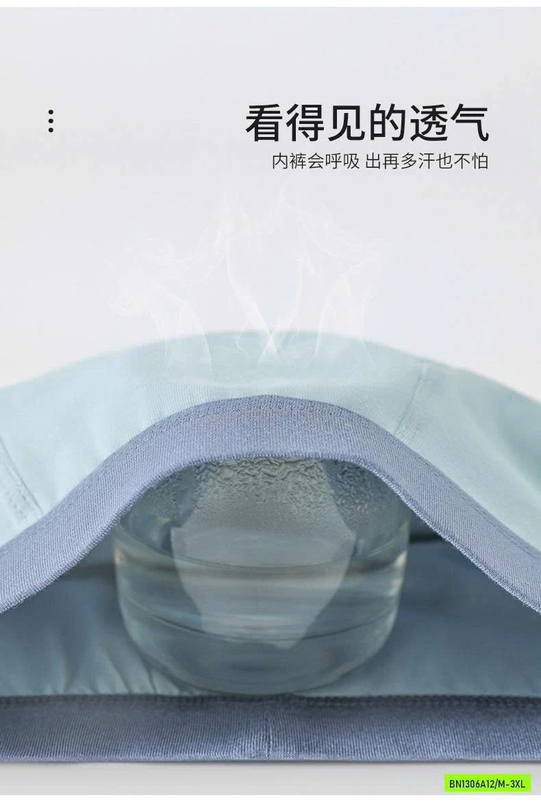 SÉT 4 CHIP ĐÙI BT SZ ĐẠI