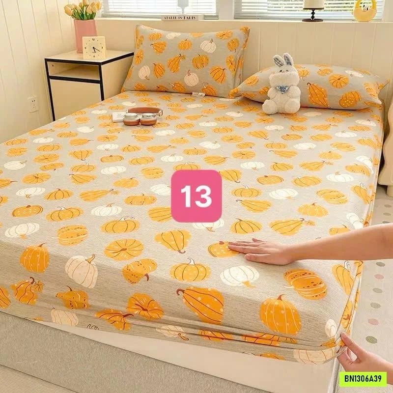 SET GA GIƯỜNG VÀ 2 VỎ GỐI COTTON HÀN