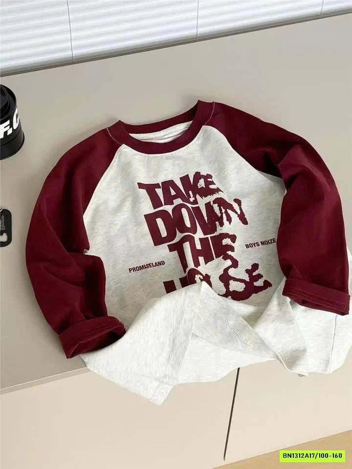 ÁO THUN PHỐI MÀU TAY SNIDOLS