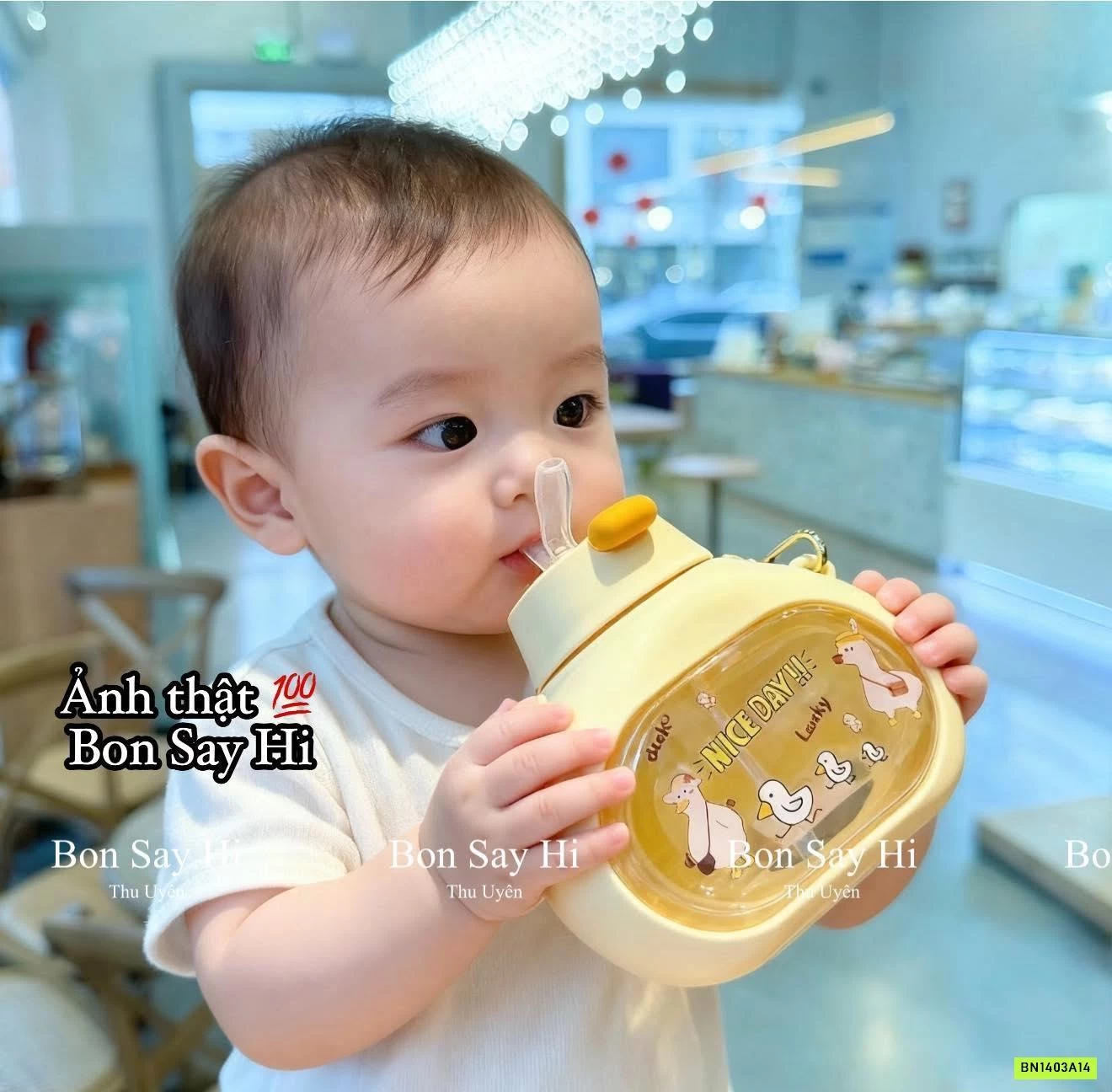 BÌNH NƯỚC VỊT KUTE