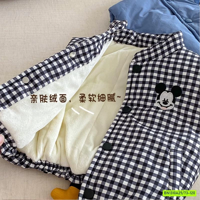 KHOÁC PHAO DISNEY LÓT NHUNG