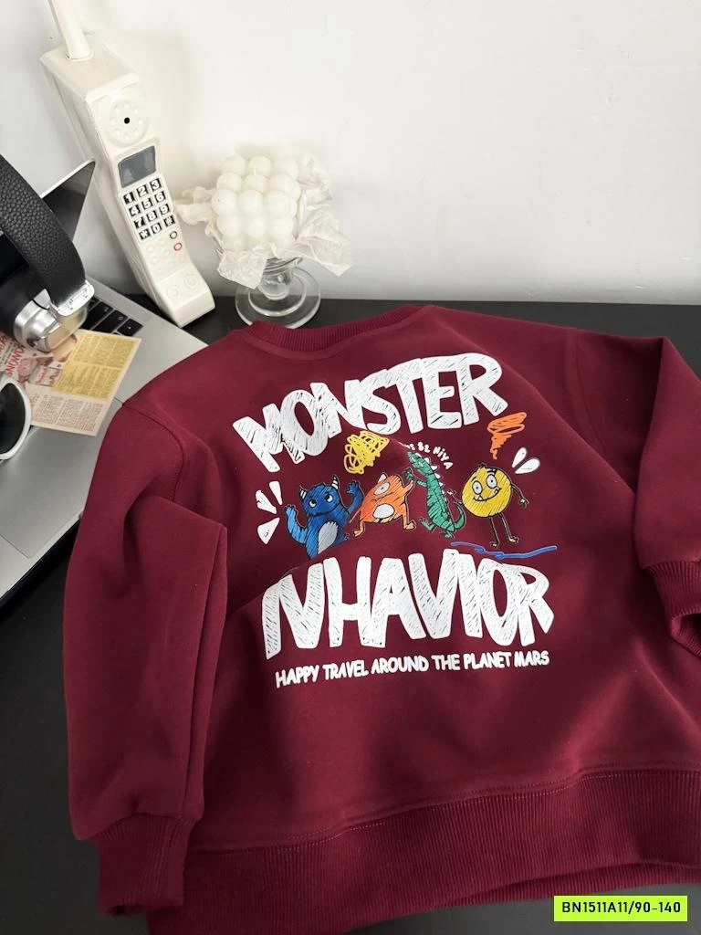 ÁO NỈ IN HÌNH LƯNG