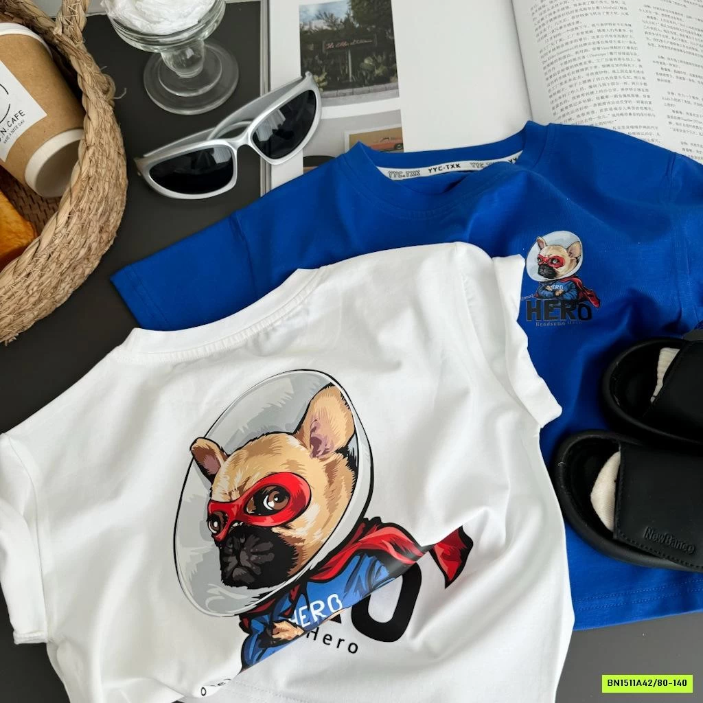 BST ÁO THUN IN HÌNH