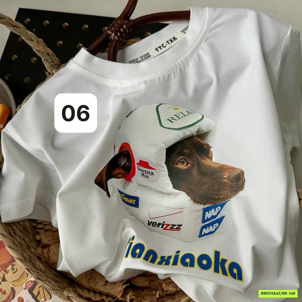 BST ÁO THUN IN HÌNH