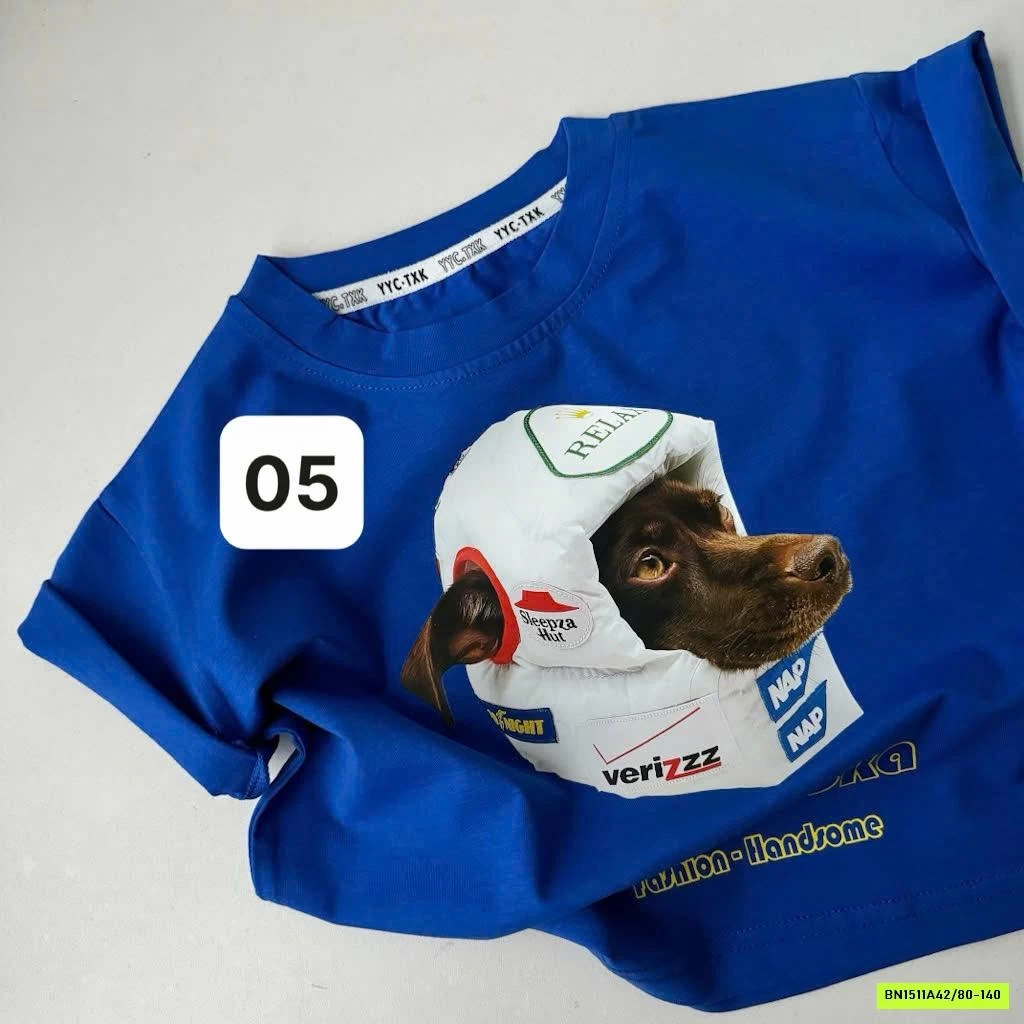 BST ÁO THUN IN HÌNH