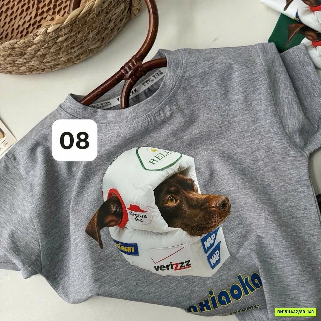 BST ÁO THUN IN HÌNH