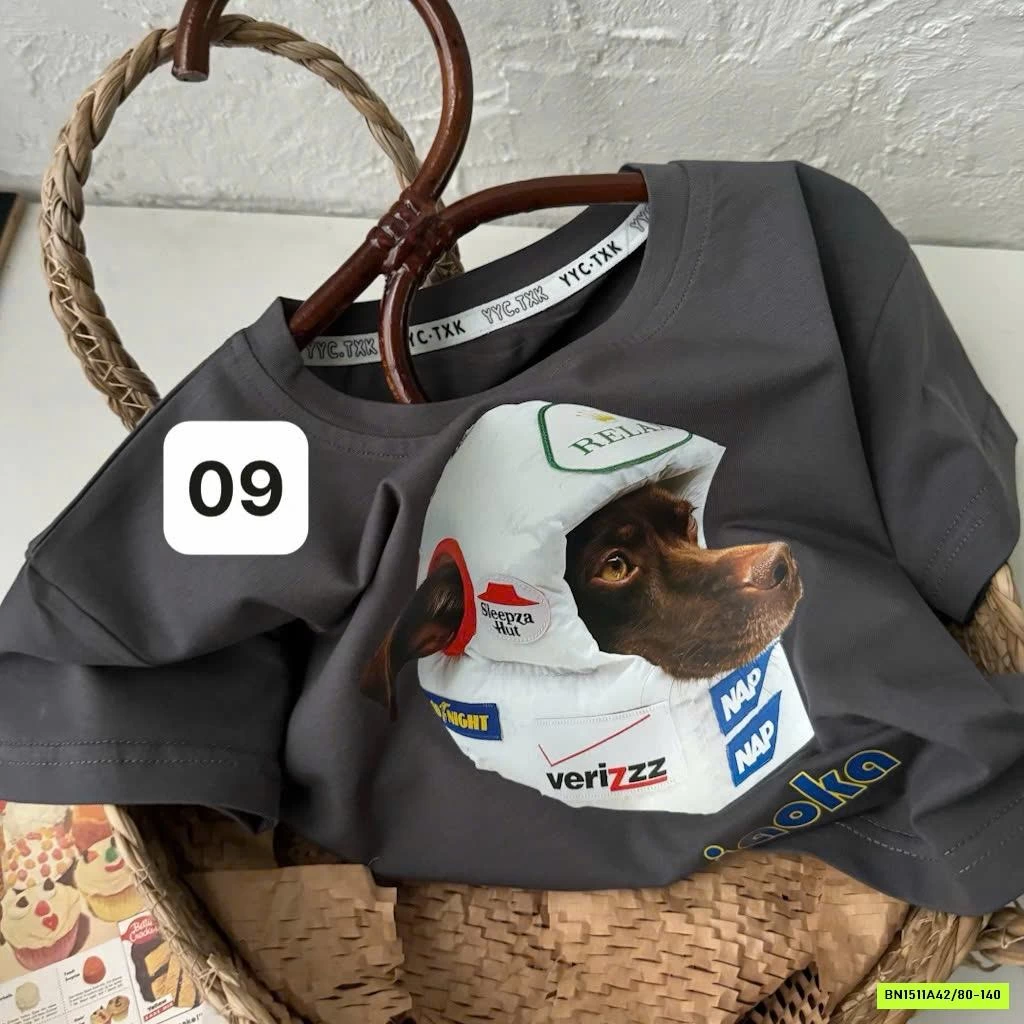 BST ÁO THUN IN HÌNH