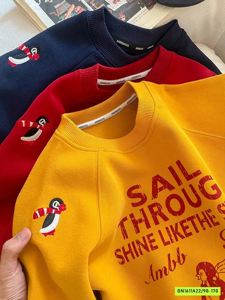 ÁO NỈ TRƠN MÀU IN CHỮ 25F021 AMBB