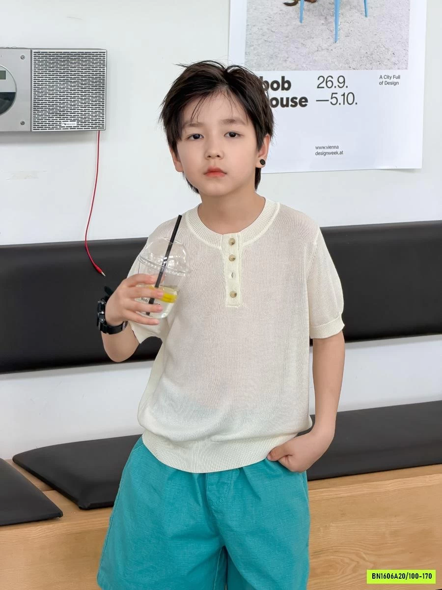 ÁO LƯỚI CỔ TRỤ CÚC NGỰC 26D034 AMBB