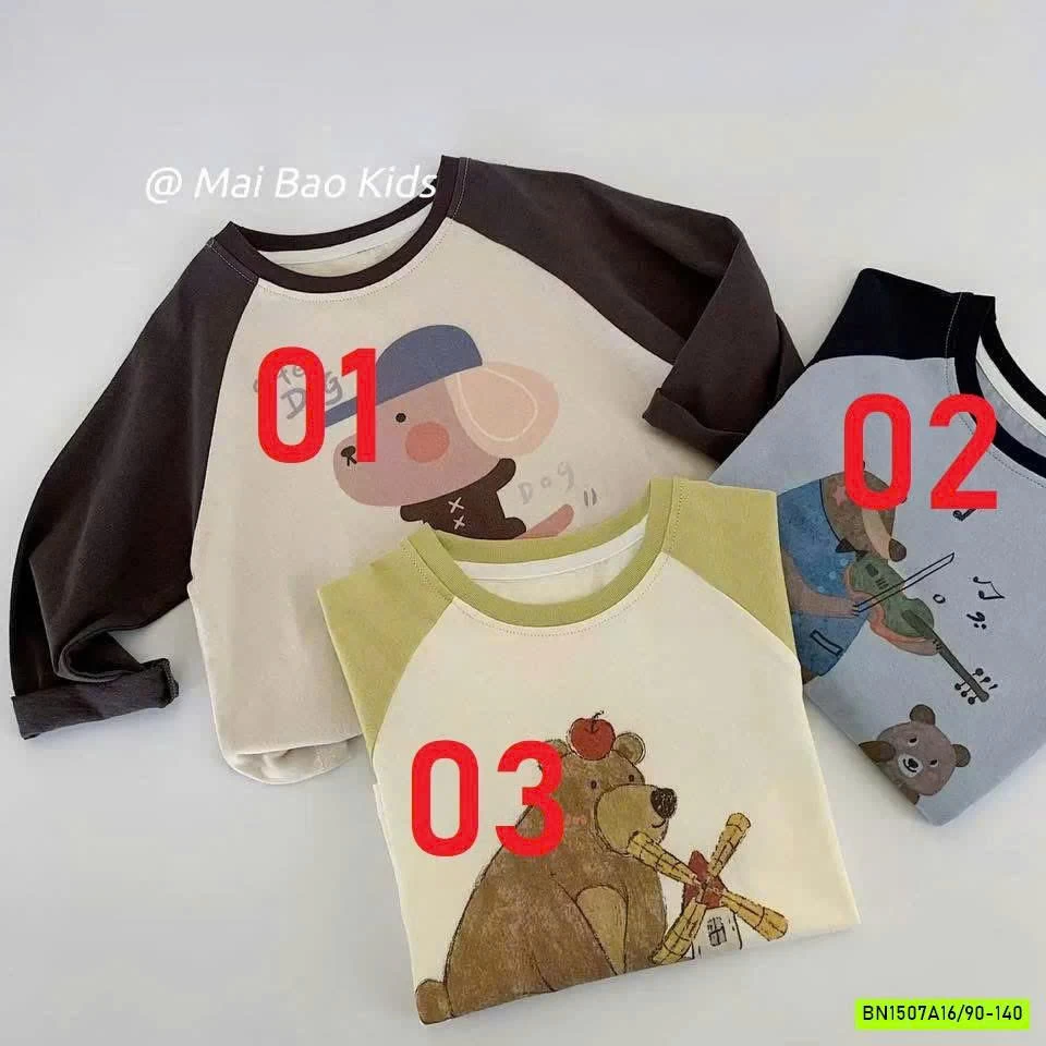 BST ÁO THUN PHỐI MÀU TAY