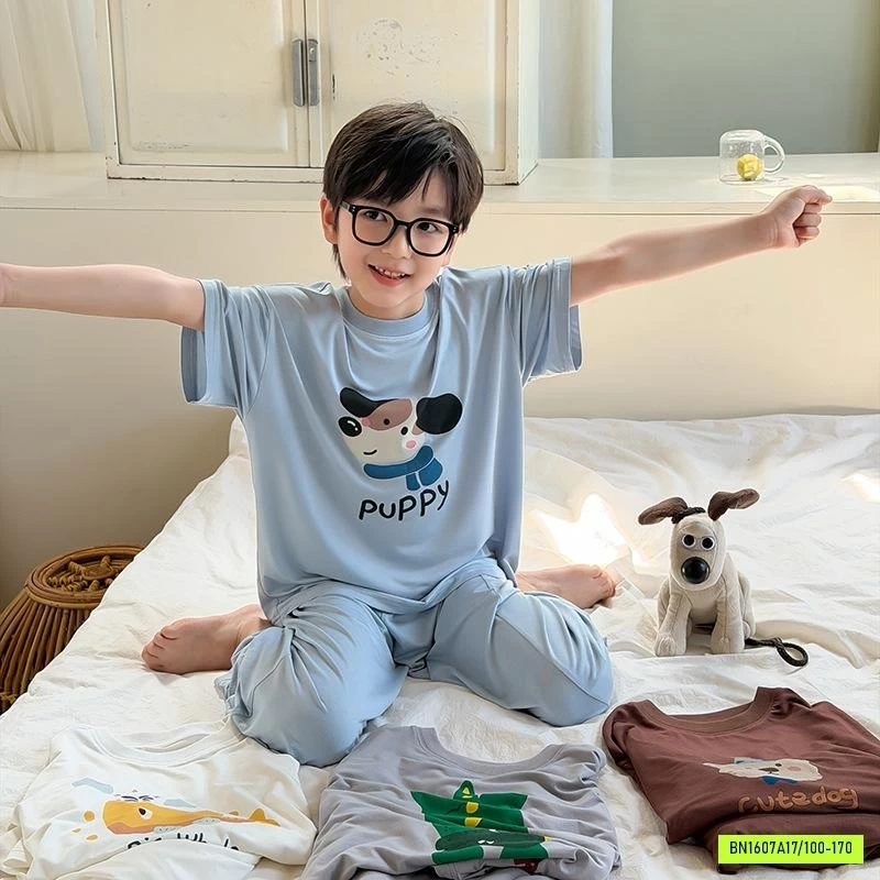 BỘ HOMEWEAR THUN LẠNH 26C095 AMBB