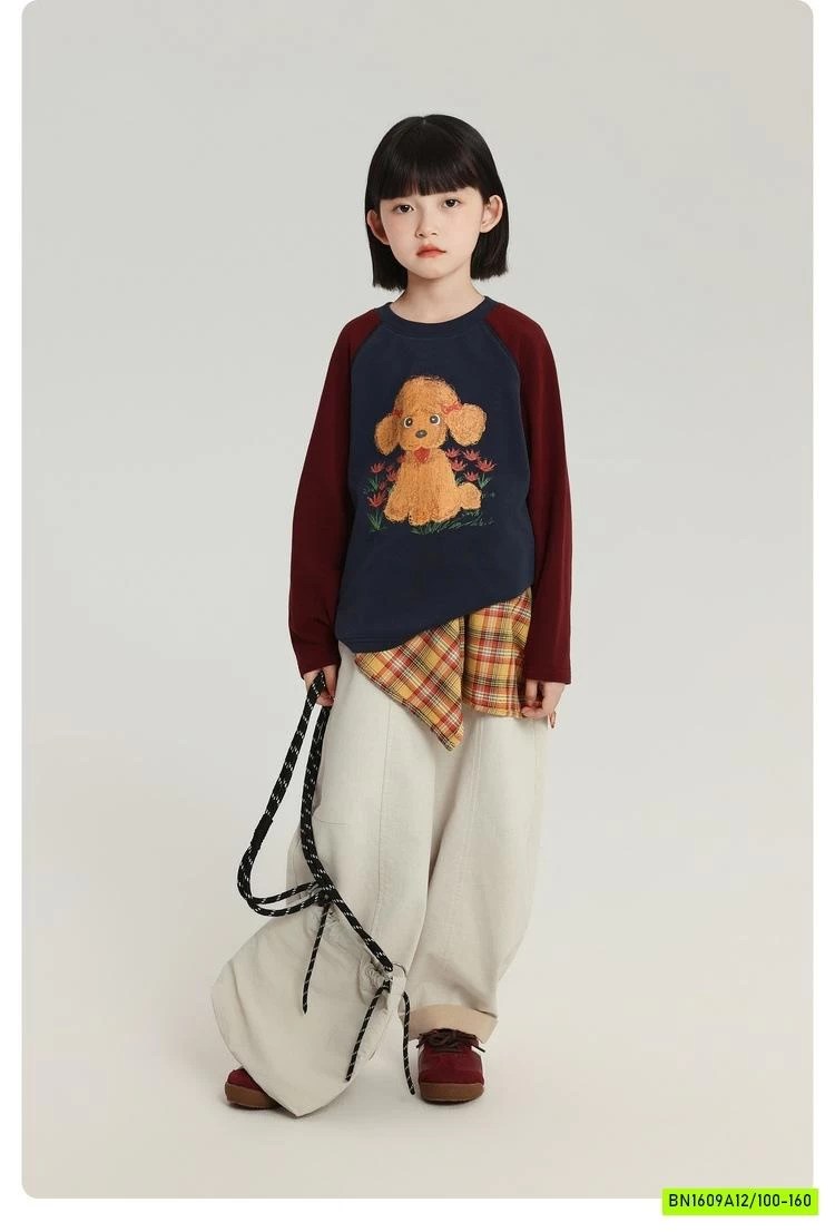 ÁO THUN PHỐI MÀU TAY IN HÌNH