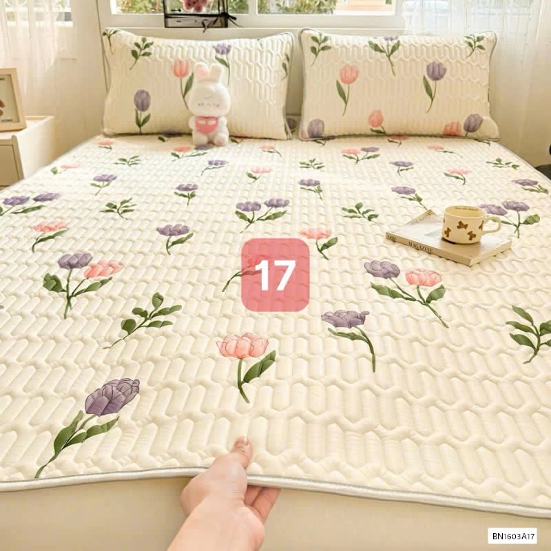 CHIẾU ĐIỀU HÒA QCCC