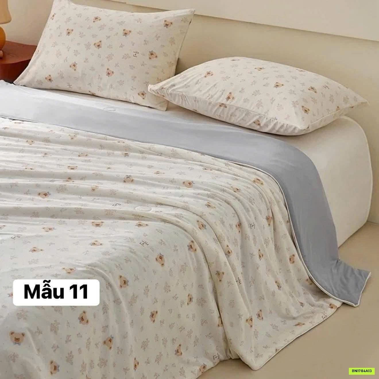 CHĂN LẠNH ĐIỀU HÒA