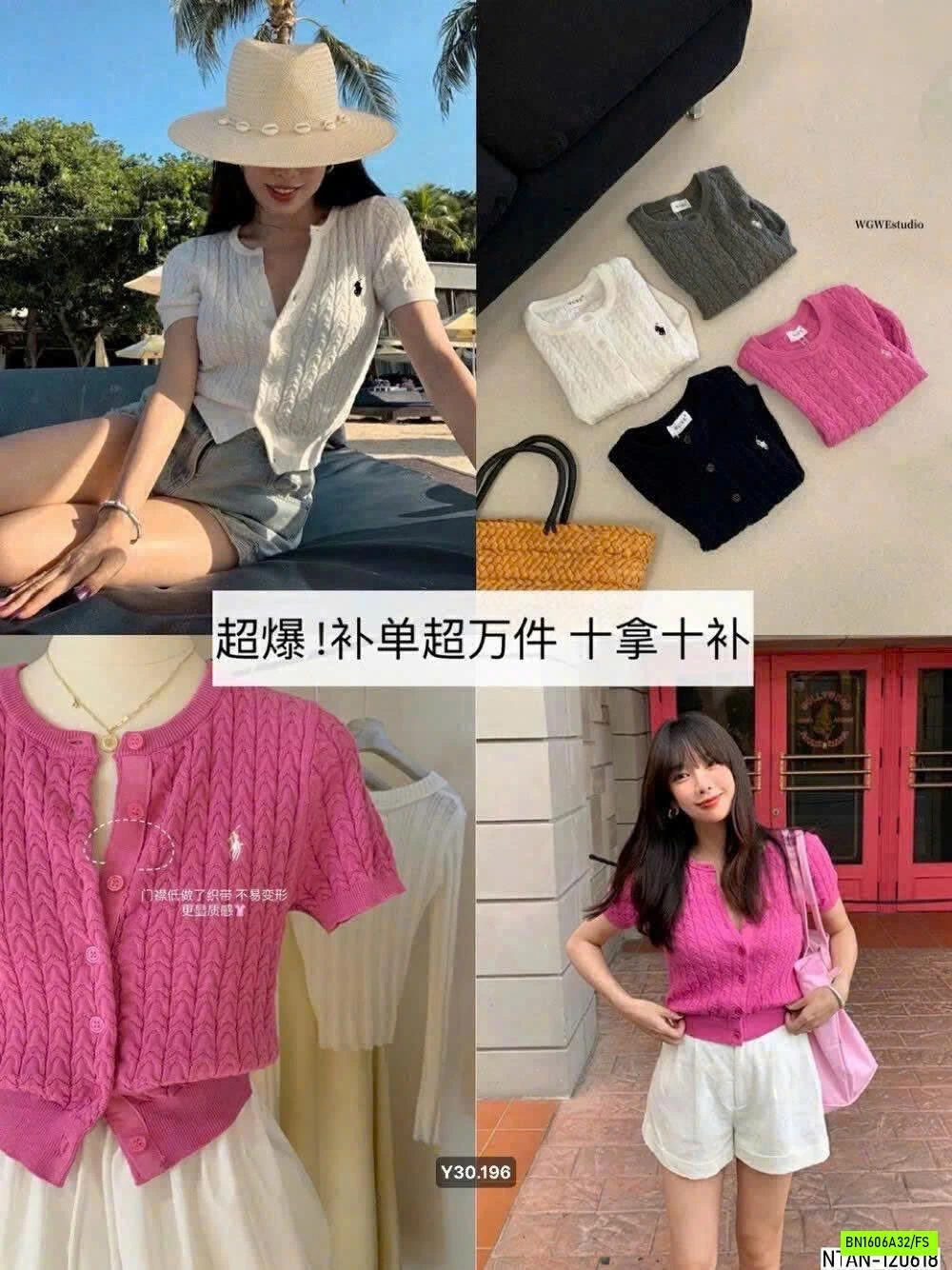 MONTOGHI LOGO NGỰA WG.WE