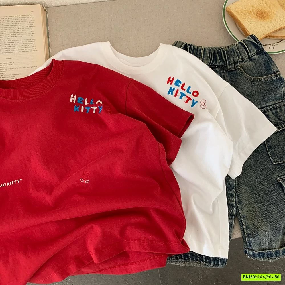 ÁO THUN TRƠN THÊU CHỮ