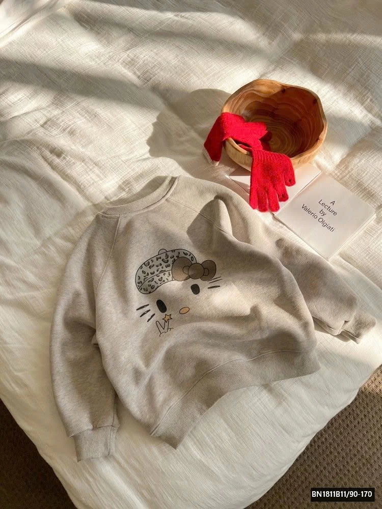 BỘ SƯU TẬP ÁO NỈ GẤU LÓT LÔNG AMBB  25H047