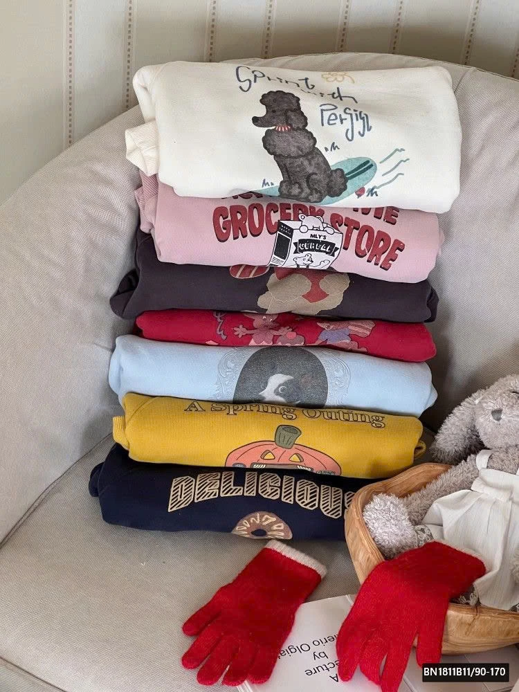 BỘ SƯU TẬP ÁO NỈ GẤU LÓT LÔNG AMBB  25H047