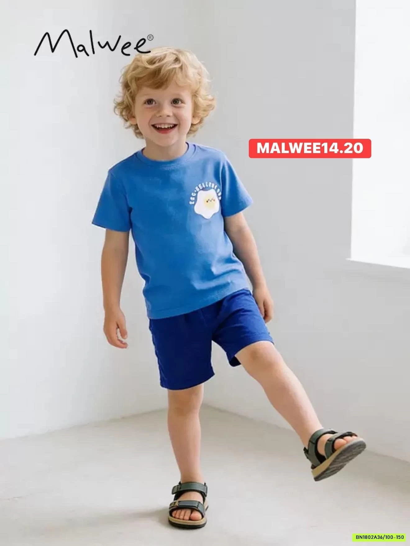 BST BỘ CỘC MALWEE