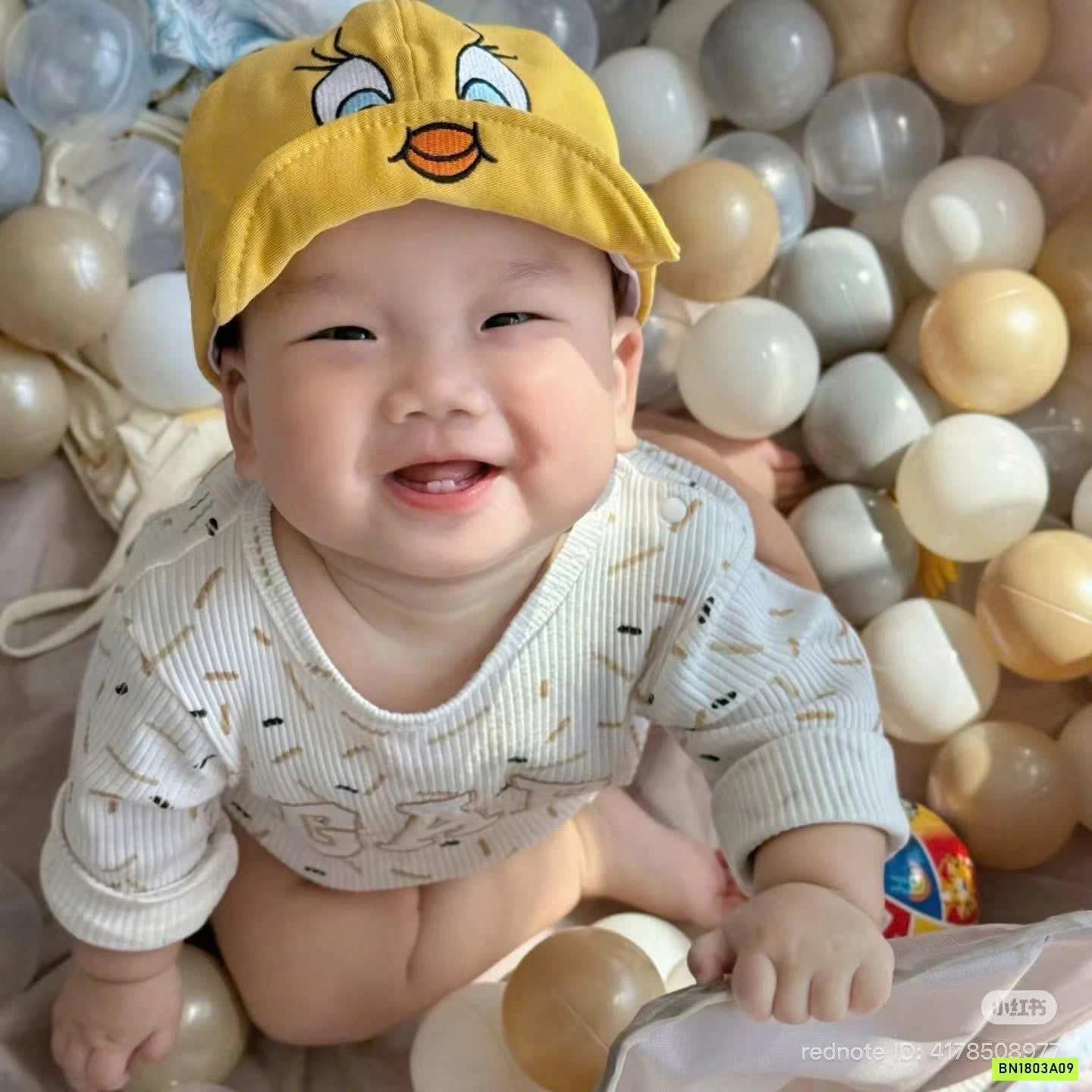 MŨ VỊT VÀNG KUTE