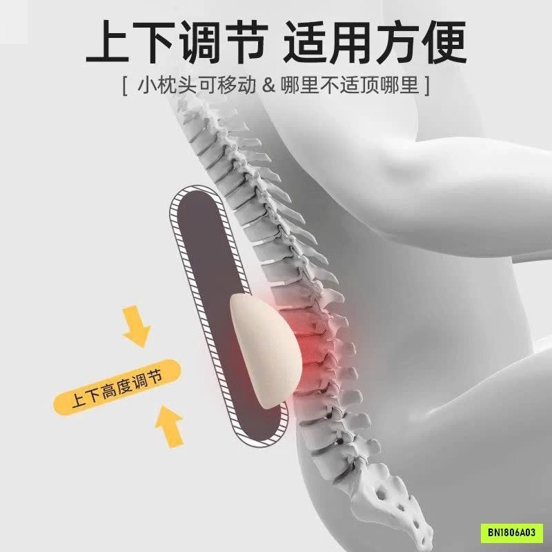 GỐI CÔNG THÁI HỌC 361