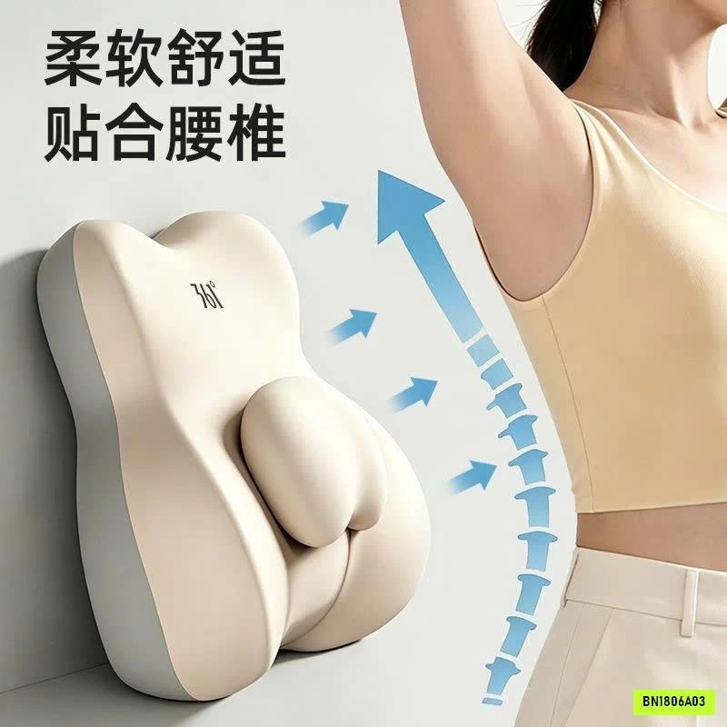 GỐI CÔNG THÁI HỌC 361
