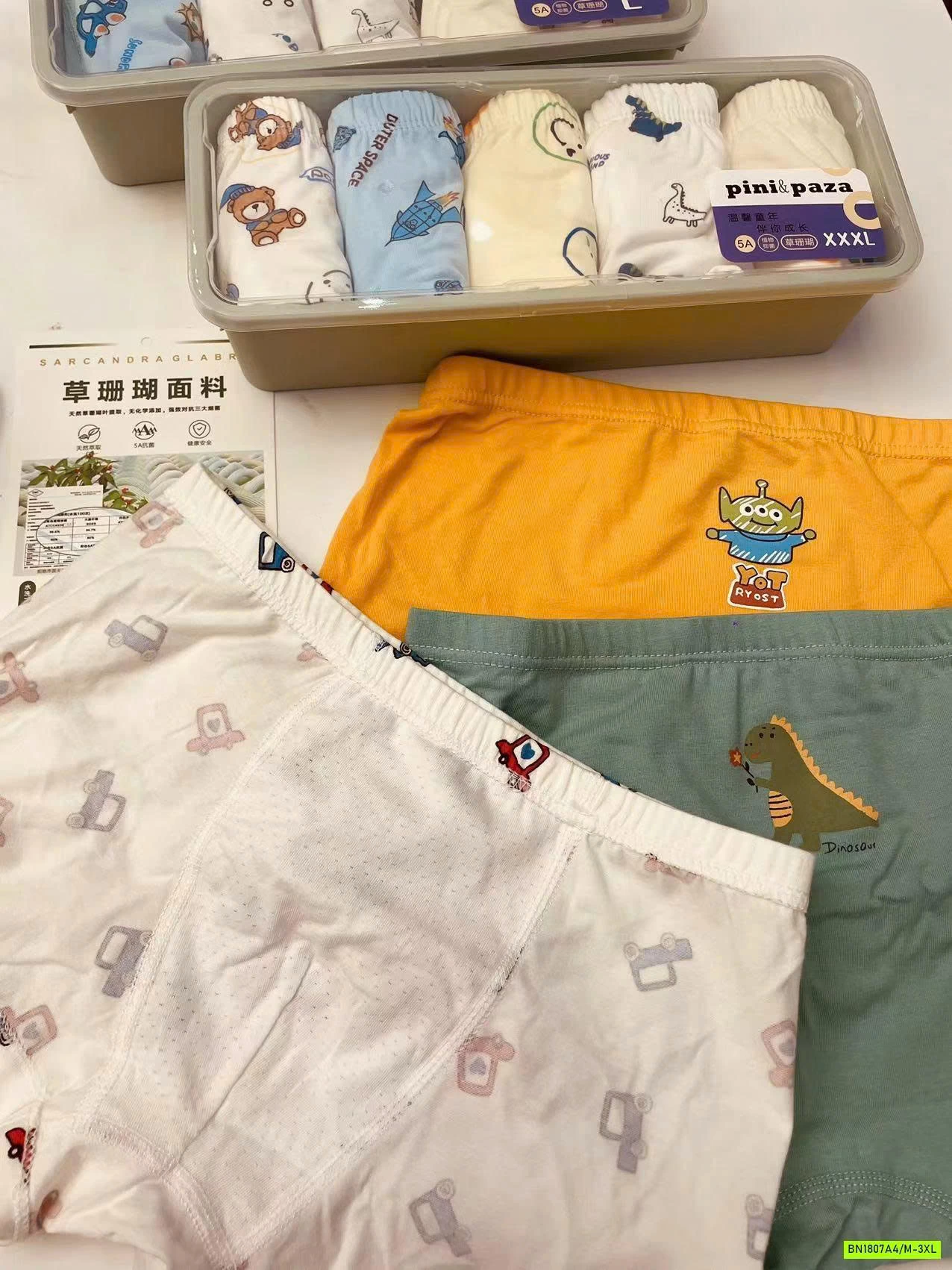 HỌP 5 CHIP ĐÙI COTTON BTBG