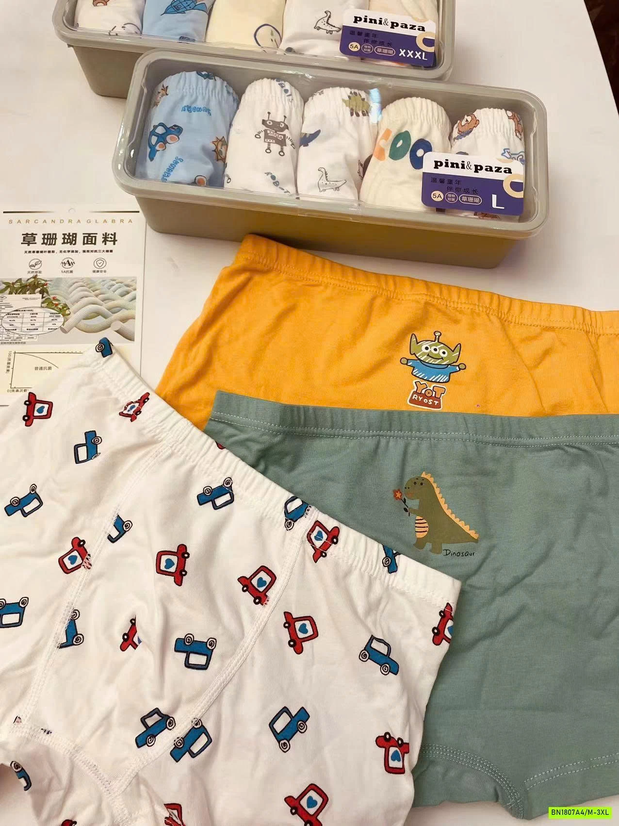 HỌP 5 CHIP ĐÙI COTTON BTBG