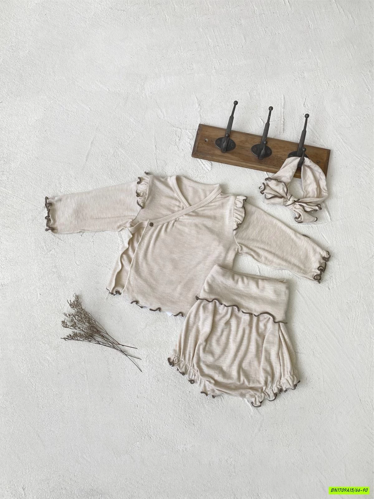 SET BỘ SƠ SINH VIỀN BÈO CẠP CAO