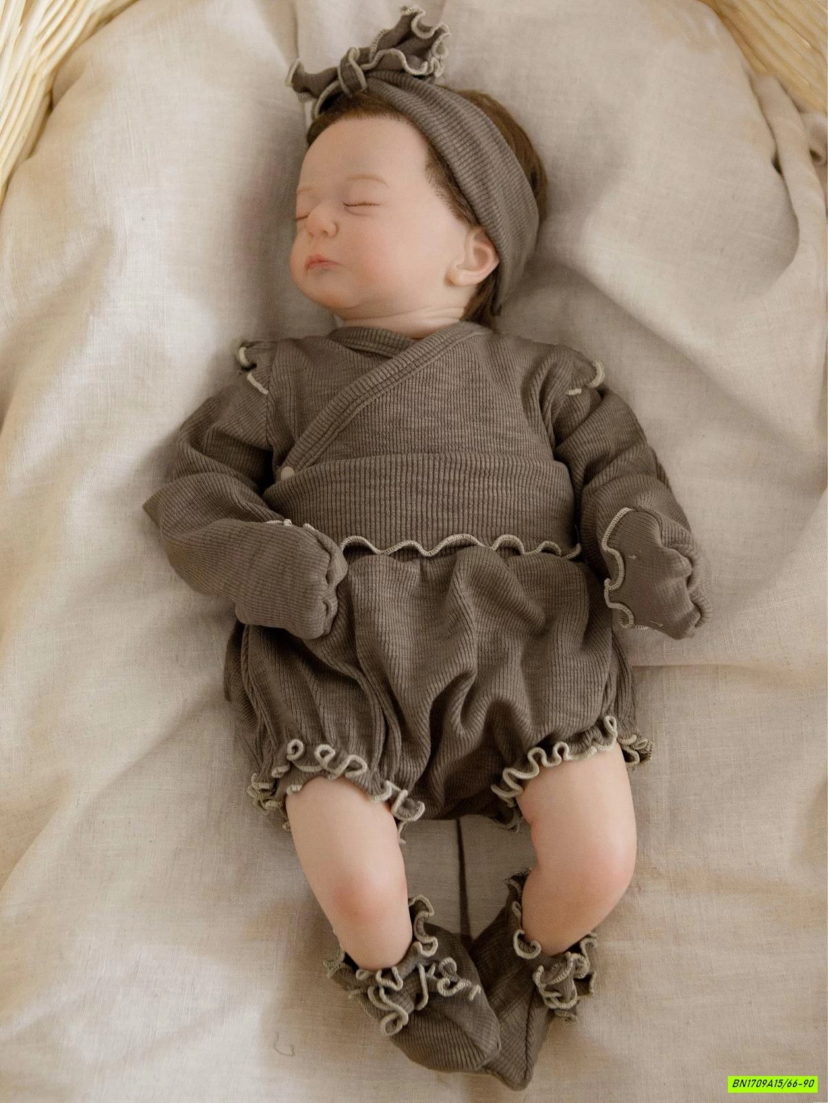 SET BỘ SƠ SINH VIỀN BÈO CẠP CAO