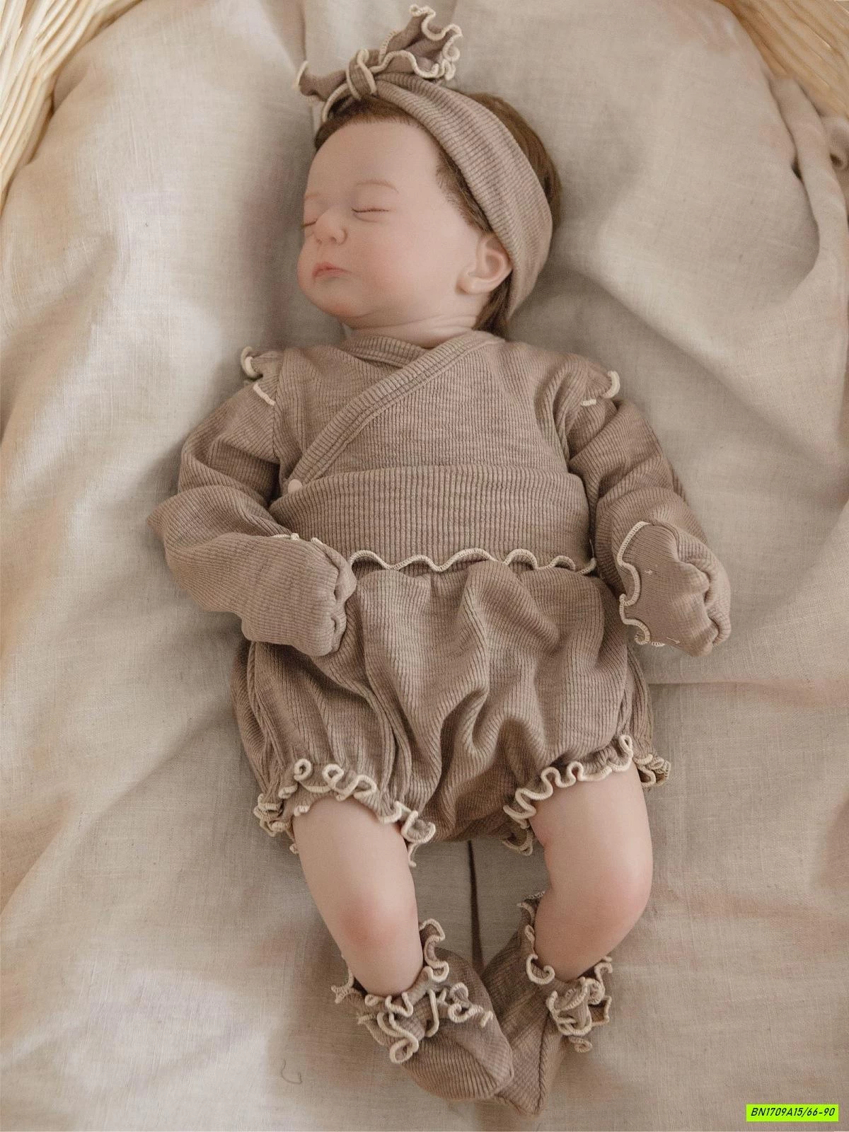 SET BỘ SƠ SINH VIỀN BÈO CẠP CAO