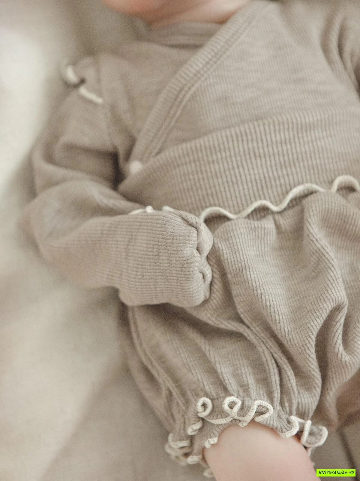 SET BỘ SƠ SINH VIỀN BÈO CẠP CAO