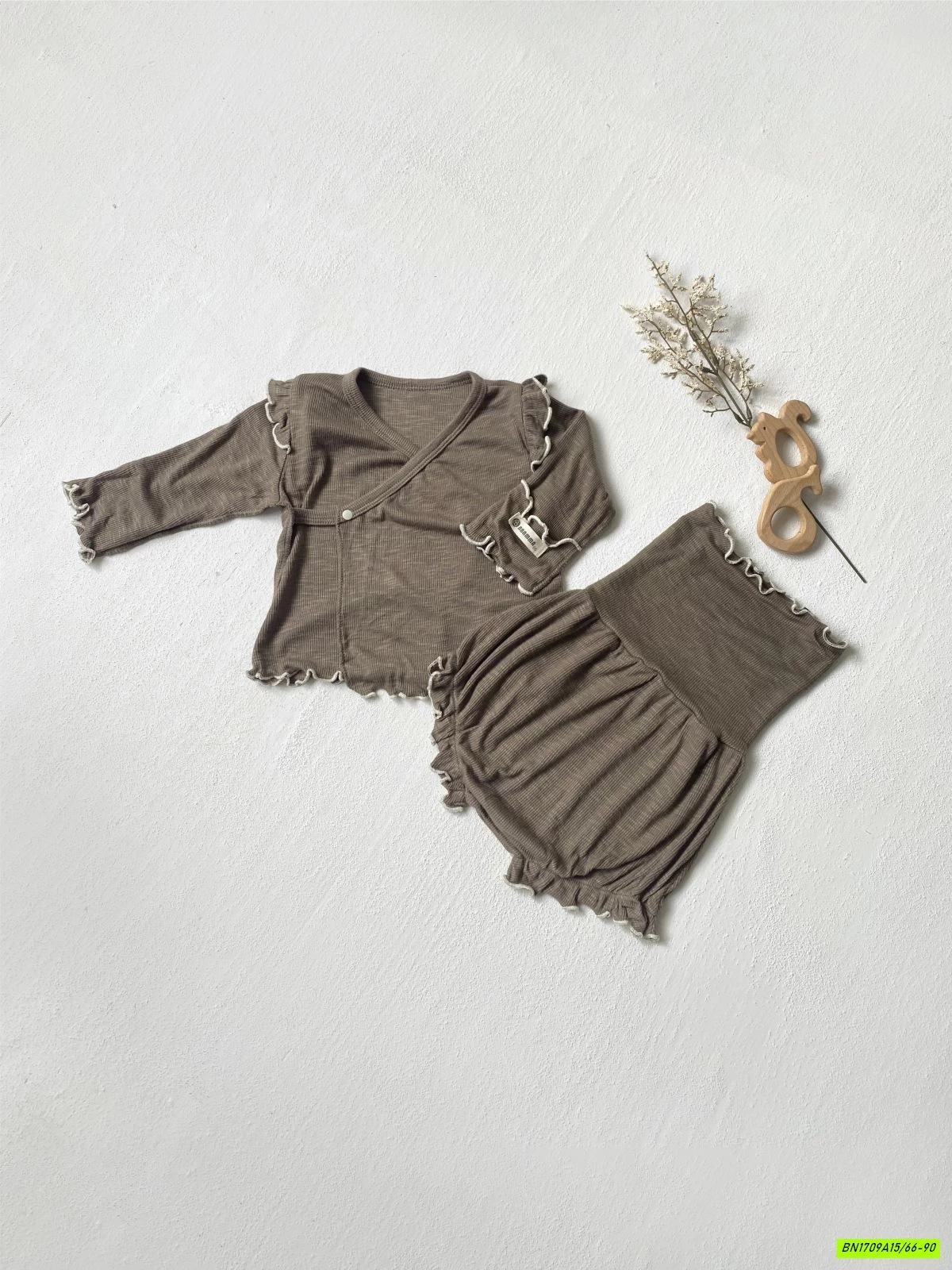 SET BỘ SƠ SINH VIỀN BÈO CẠP CAO