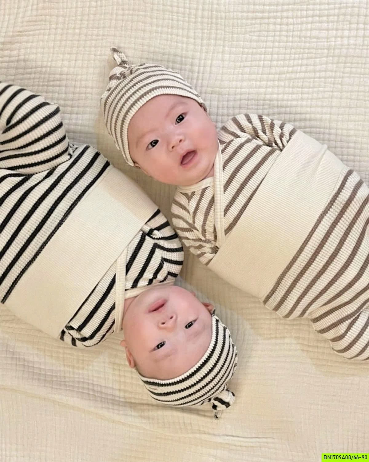 BODY COTTON HẠT NA XUẤT HÀN