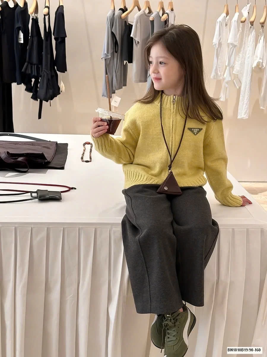 ÁO LEN KÉO KHÓA LOGO TAM GIÁC AMBB  25G095