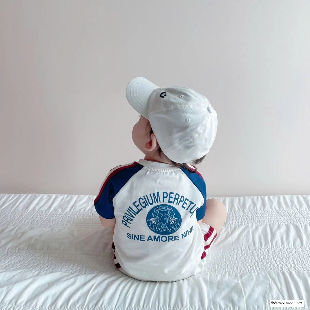 BỘ CỘC PHỐI MÀU TAY