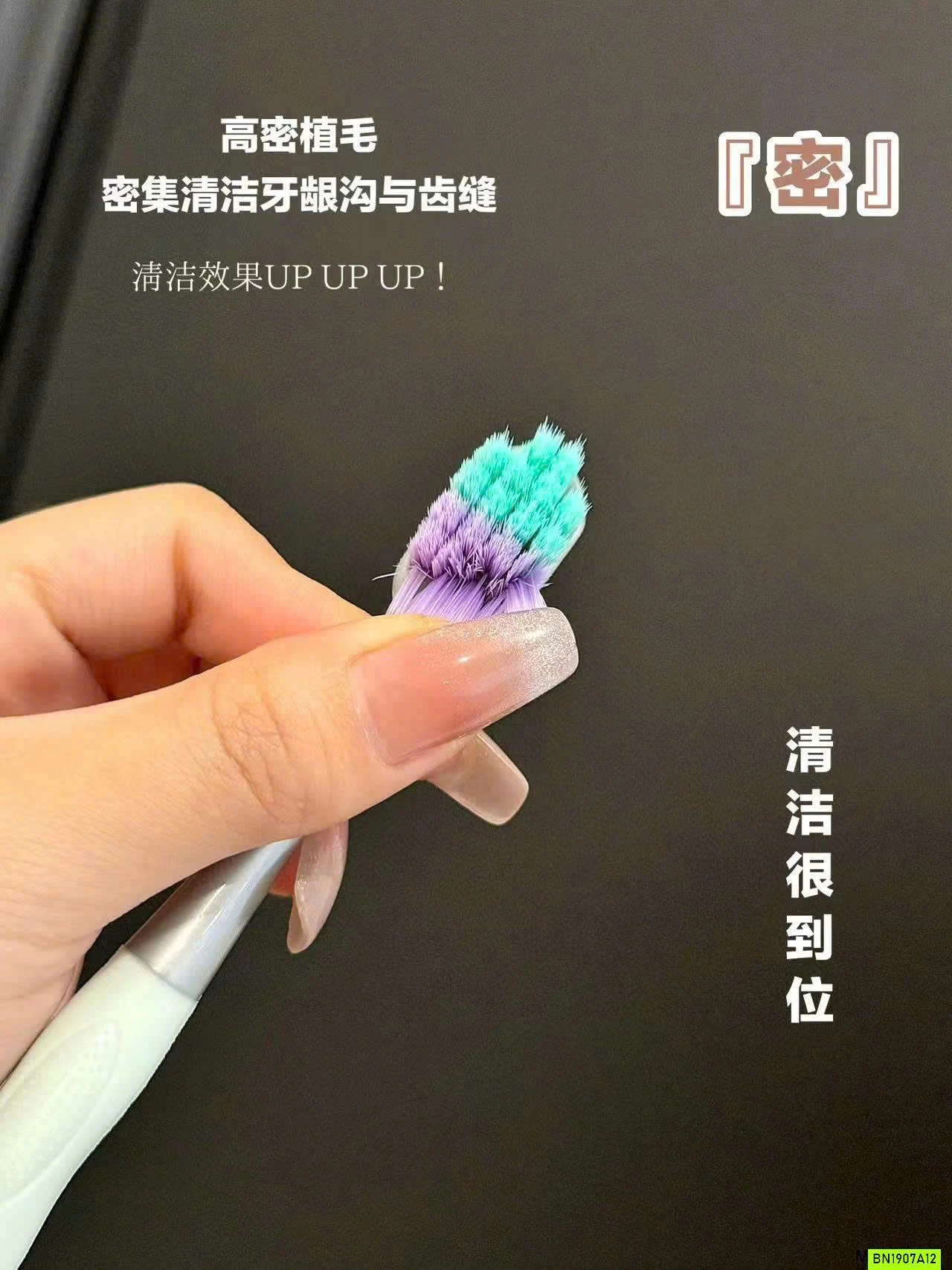 HỘP 12 BÀN CHẢI XHASON XUẤT MỸ